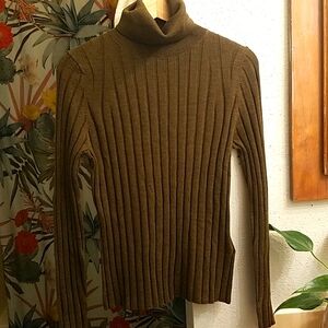 Extra Fine Merino Wool Turtleneck